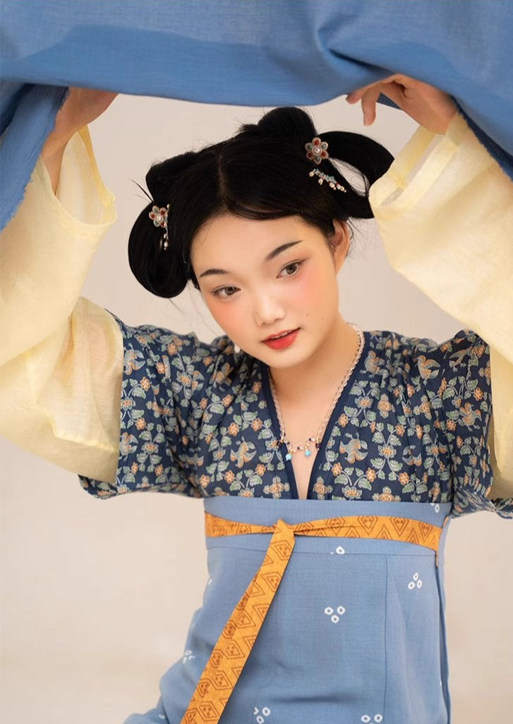 Yuan Yang 鸳鸯 Canard Mandarin Hanfu d'été de la dynastie Tang