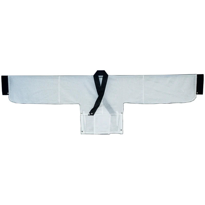 Синь Сюэ 新雪 Свежий снег Реставрация Восточной Хань Руцюнь