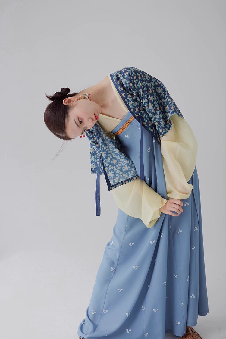 Yuan Yang 鸳鸯 Canard Mandarin Hanfu d'été de la dynastie Tang