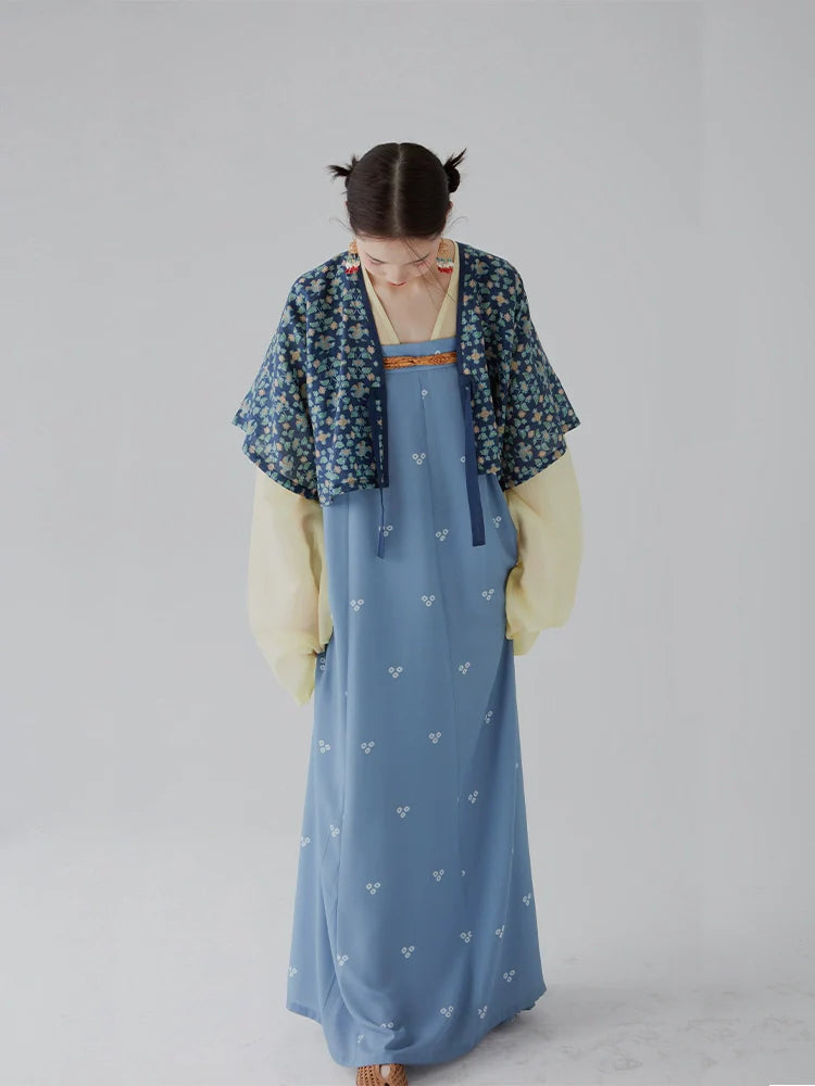 Yuan Yang 鸳鸯 Canard Mandarin Hanfu d'été de la dynastie Tang